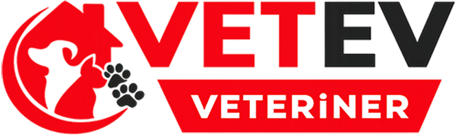 Vetev